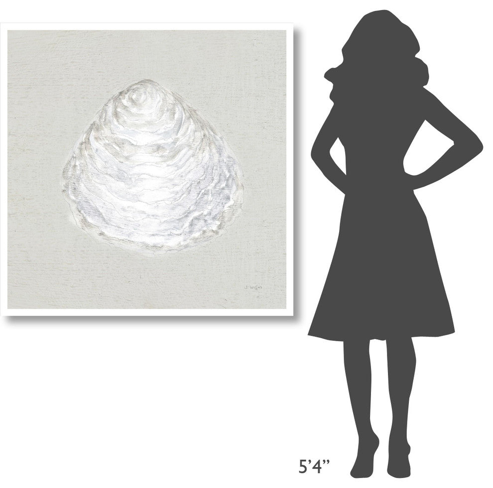"Serene Shells I Tan" Digital Paper Print by James Wiens, 42"x42"
