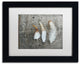 Cora Niele 'Three Feathers on Wood' Matted Framed Art
