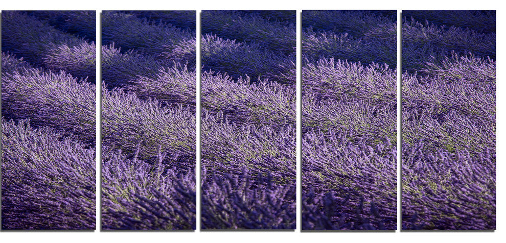 "Lavender Field and Ray of Light" Landscape Wall Art Print, 5 Panels, 60"x28"