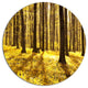 Bright Green Forest At Sunset, Forest Disc Metal Wall Art, 23"