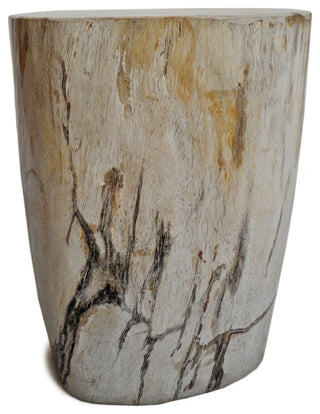 Petrified Stump Side Table / Stool