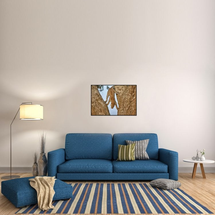 "Upside Down" Framed Canvas Giclee by Alessandro Catta, 37x25"