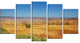 Prairie with Bright Blue Sky, Landscape Canvas Art Print, 60"x32", 5 Panels