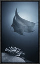 "Sonata" Framed Canvas Giclee by Andrey Narchuk, 10x17"
