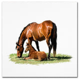 The Macneil Studio 'Horse With Foal' Canvas Art, 24"x24"