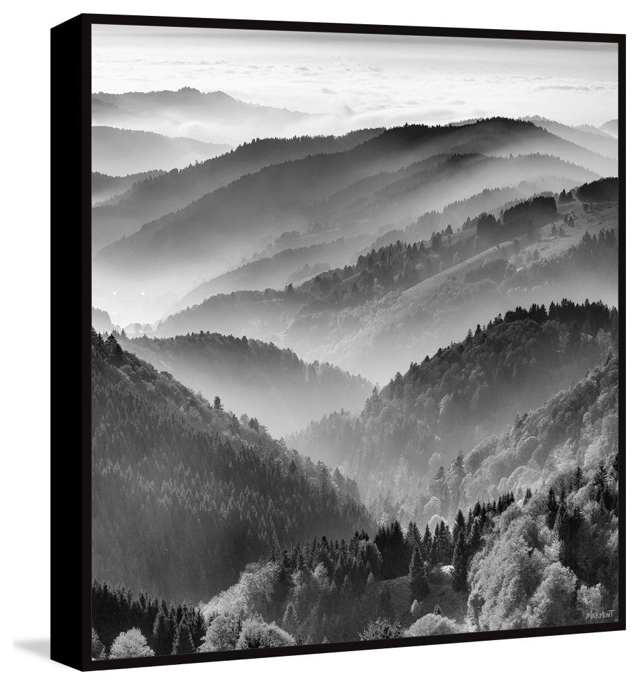 "Take the Trails" Floater Framed Painting Print on Canvas, 24x24