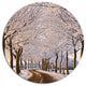 Trees And Road In White Winter, Landscape Large Disc Metal Artwork, 36"