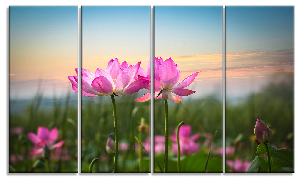 "Blooming Lotus Flowers at Sunset" Floral Canvas Photo Print, 4 Panels, 48"x28"