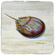 Horseshoe Crab Coaster - 3 Sets of 4 (12 Total)