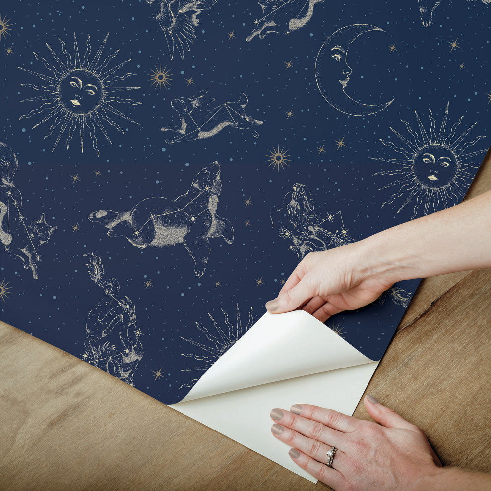 Zodiac Dreams Navy Peel and Stick Wallpaper