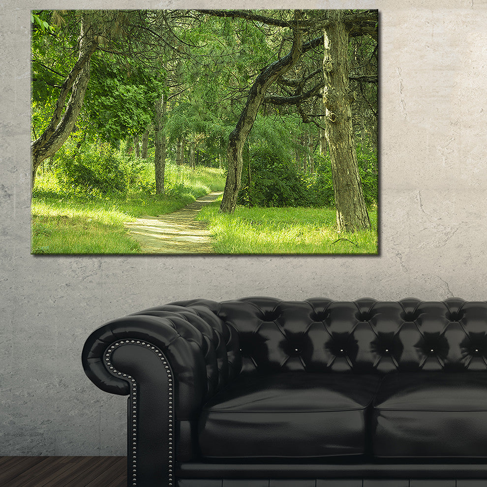 "Green Forest Path in Early Summer" Landscape Canvas Photo Print, 40"x30"