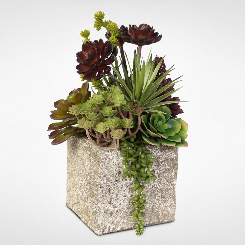 Succulent, Hen and Chicks Coastal Cottage Arrangement in Stone Pot