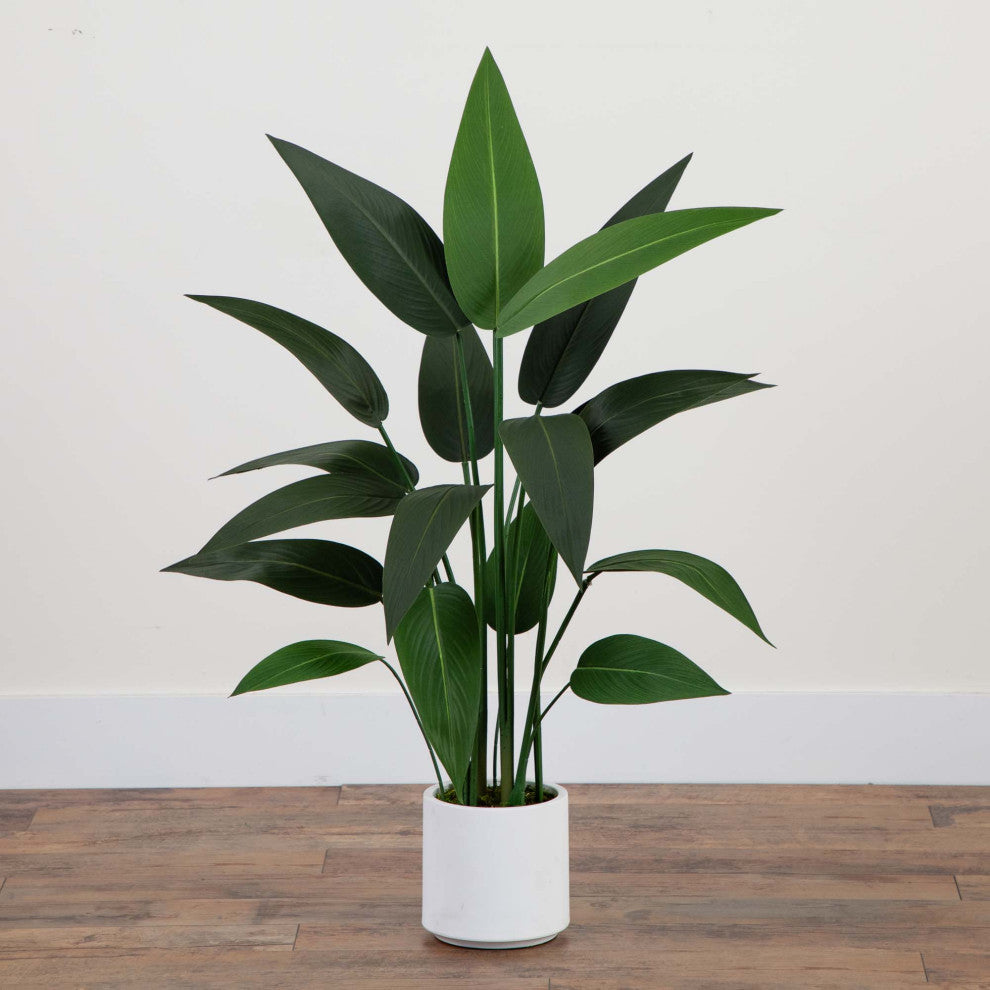 Full plant shown in a real-room lifestyle setting.