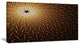 Dark Orange Fractal Flower Pattern, Abstract Wall Art Canvas, 32x16