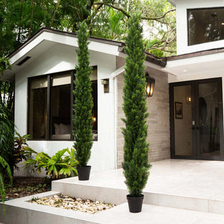 Lifestyle/environment; product in outdoor setting; full visible