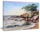 "Cote d Azur France" Canvas Print