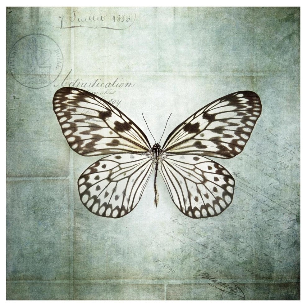 "French Butterfly V" Digital Paper Print by Debra Van Swearingen, 32"x32"