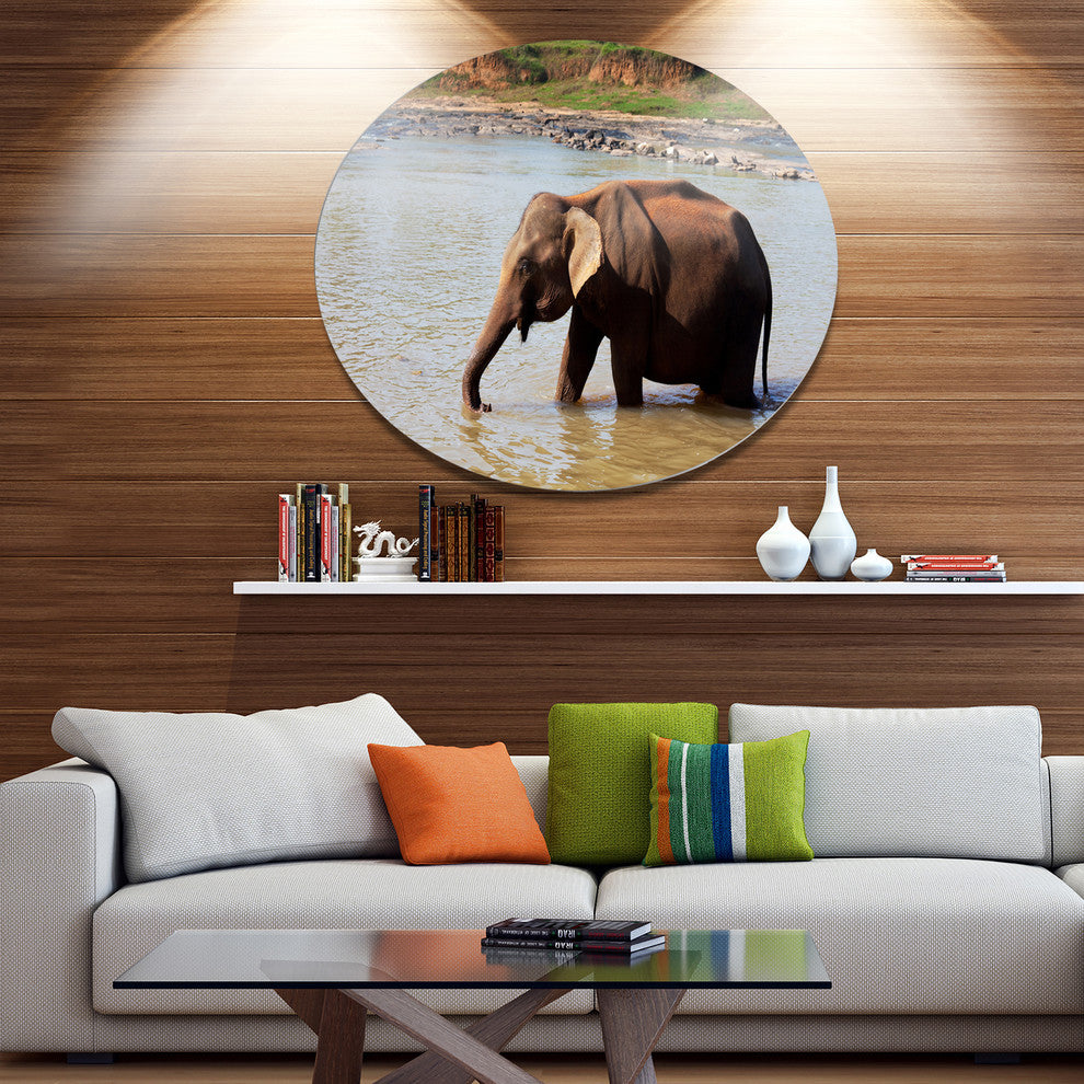 Elephant In Water In Sri Lanka, African Round Wall Art, 36"