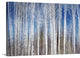 "Birches in Spring" Wrapped Canvas Art Print, 36"x24"x1.5"