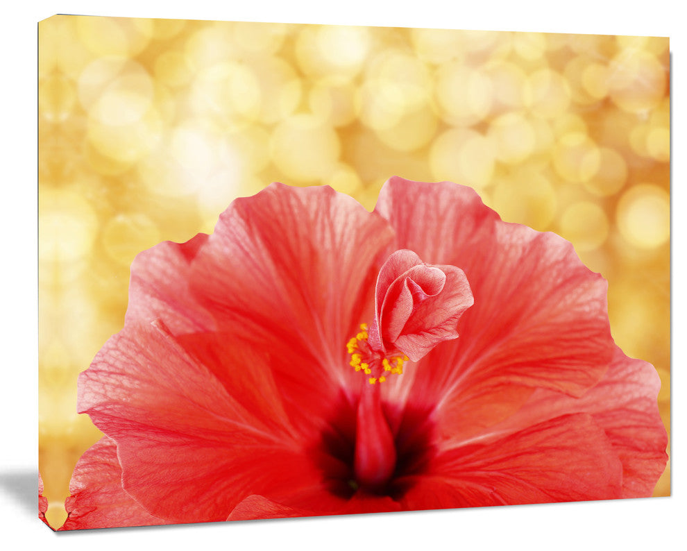 Hibiscus Flower with Lit up Background, Large Floral Canvas Artwork, 40"x30"