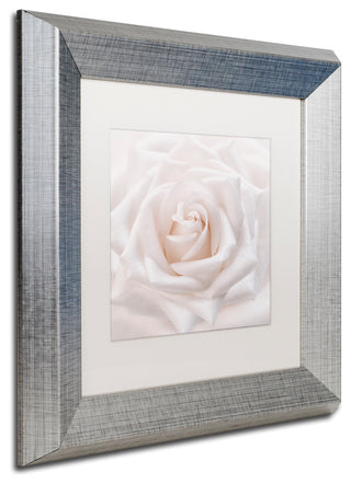 Cora Niele 'Soft White Rose' Matted Framed Art