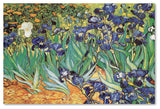 Vincent van Gogh 'Iris Garden' Canvas Art, 47 x 30