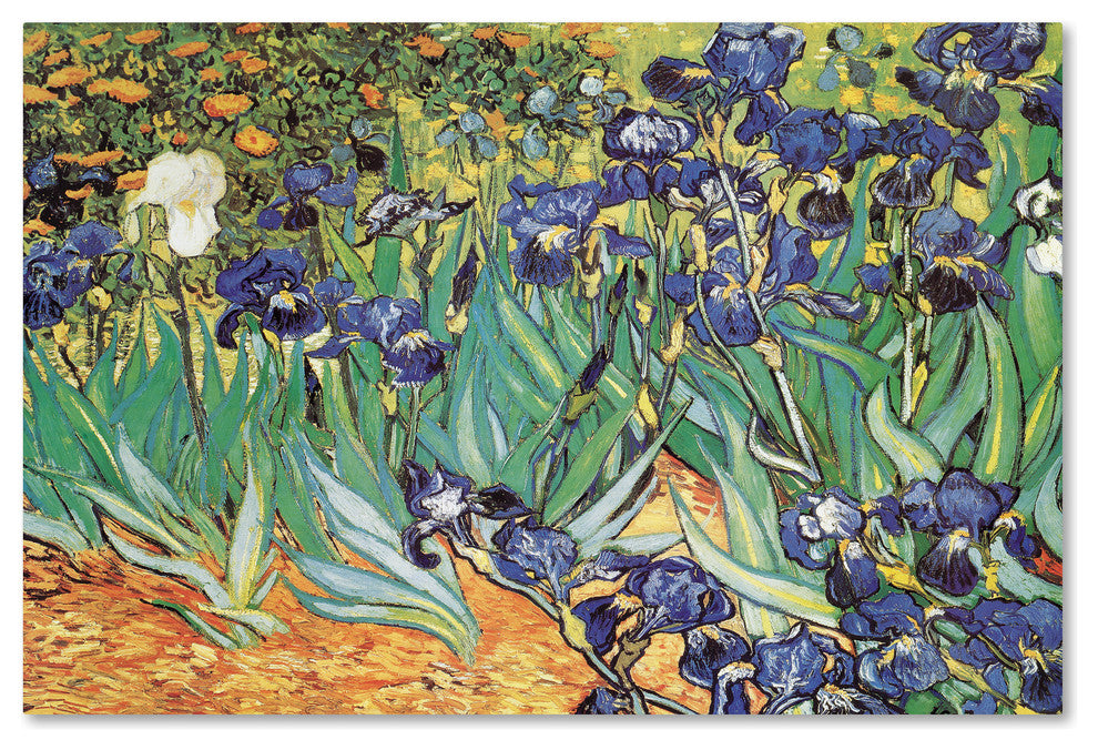 Vincent van Gogh 'Iris Garden' Canvas Art, 47 x 30