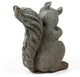 Forest Squirrel