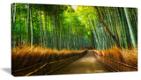 "Arashiyama Bamboo Grove Japan" Oversized Forest Wall Art, 1 Panel, 60"x28"