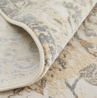 Neoma Traditional Bordered, Ivory/Tan/Gray, 10'x14' Area Rug