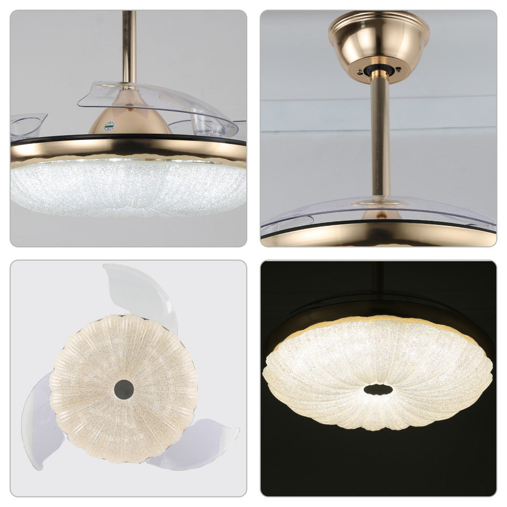 CurveCurio 42" Retractable Ceiling Fan with Matte Gold Finish & LED Lights