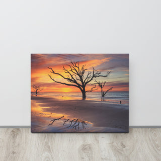 Sunrise & Trees At Edisto Island Coastal Landscape Photo Canvas Wall Art Print, 16" X 20"