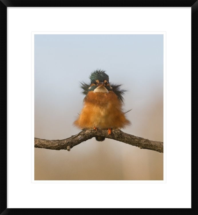 "Against Wind" Framed Digital Print by Cheng Chang, 22x24"