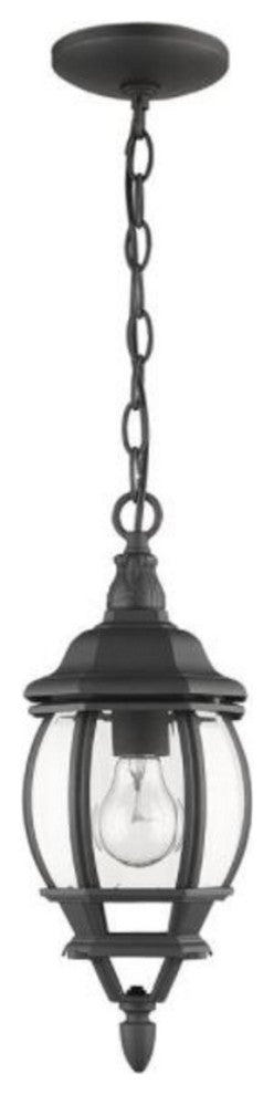 1 Light Traditional Outdoor Aluminum Hanging Pendant, Black