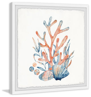 "Coral and Shells" Framed Painting Print, 12x12
