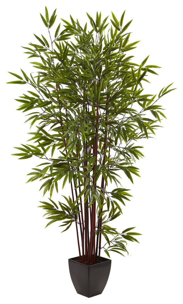 6' Bamboo Silk Tree With Planter