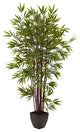 6' Bamboo Silk Tree With Planter