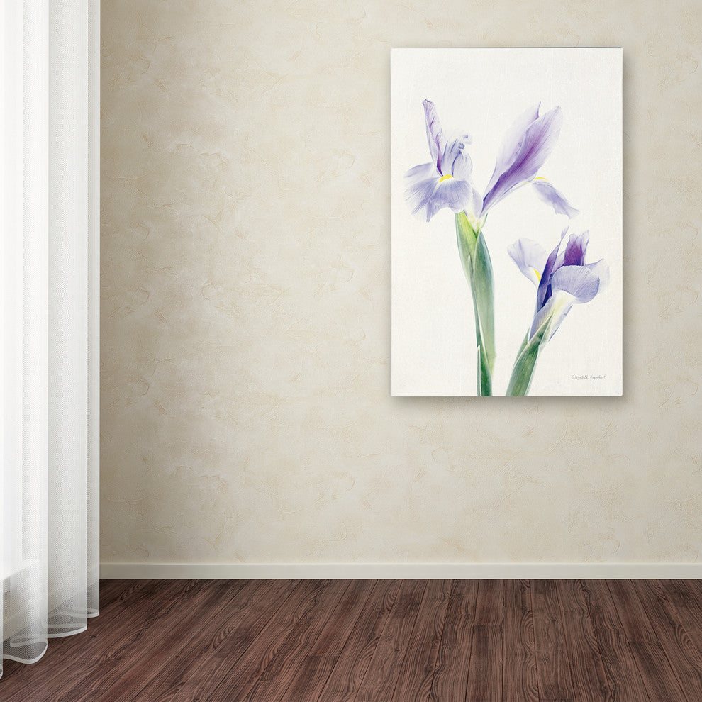 "Light and Bright Floral III" by Elizabeth Urquhart, Canvas Art, 22"x32"