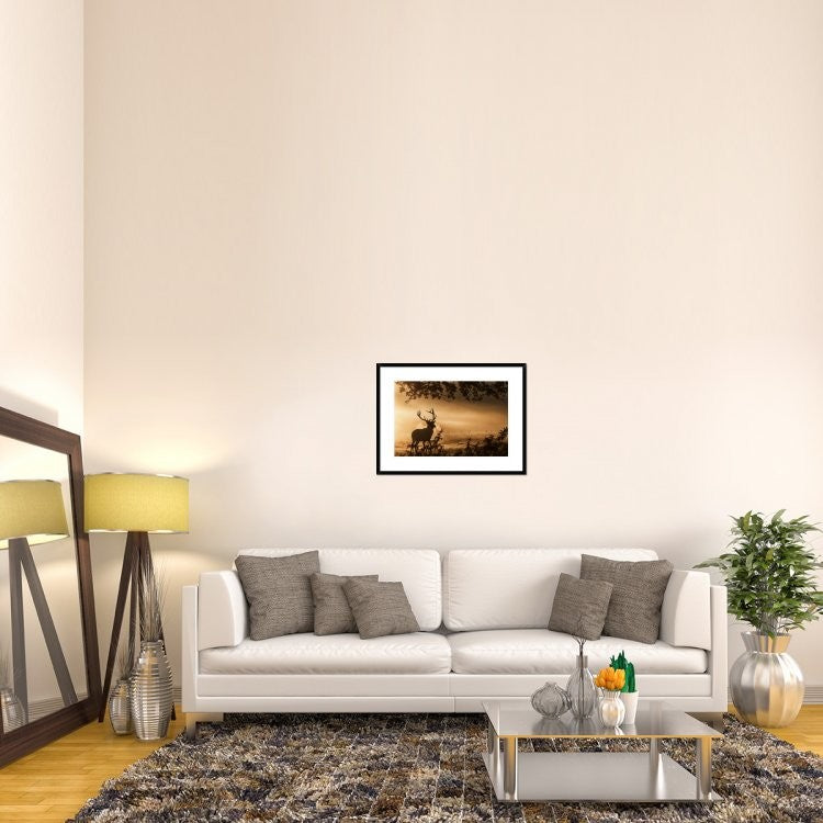 "Untitled" Framed Digital Print by Radojica Jevric Fotorax, 32x24"