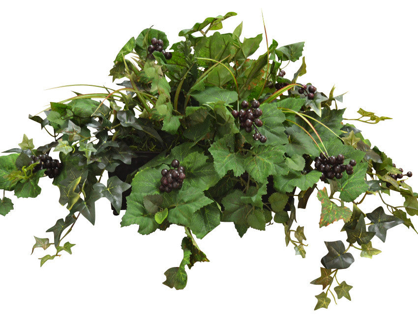 Grape Ivy Ledge Planter