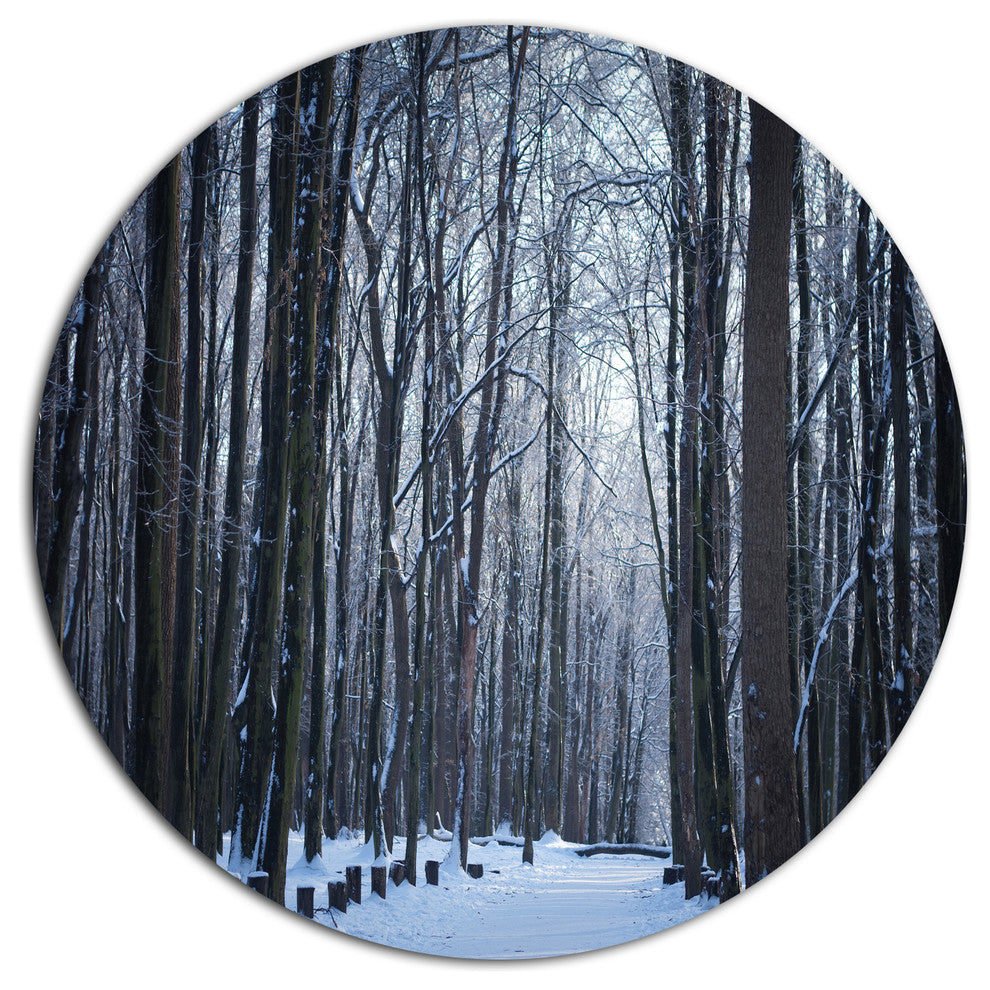 Thick Woods In Winter Forest, Modern Forest Disc Metal Wall Art, 11"