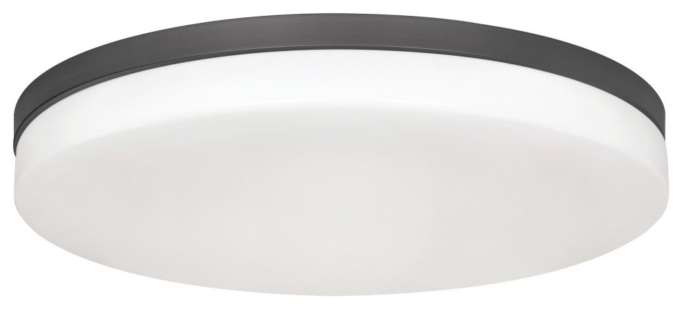 Oscar 19" Flush Mount, Black