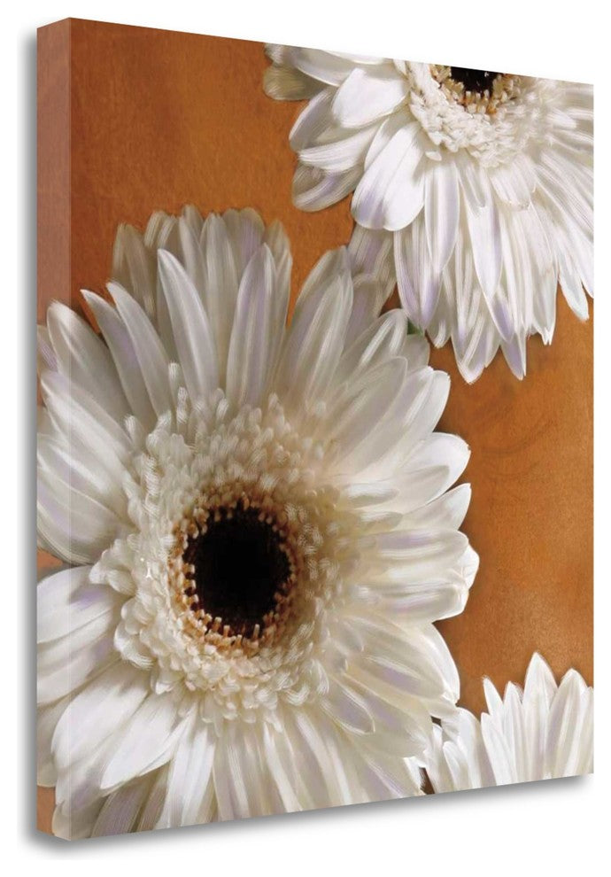 "Gerber Delight I" By Janel Pahl, Giclee Print on Gallery Wrap Canvas
