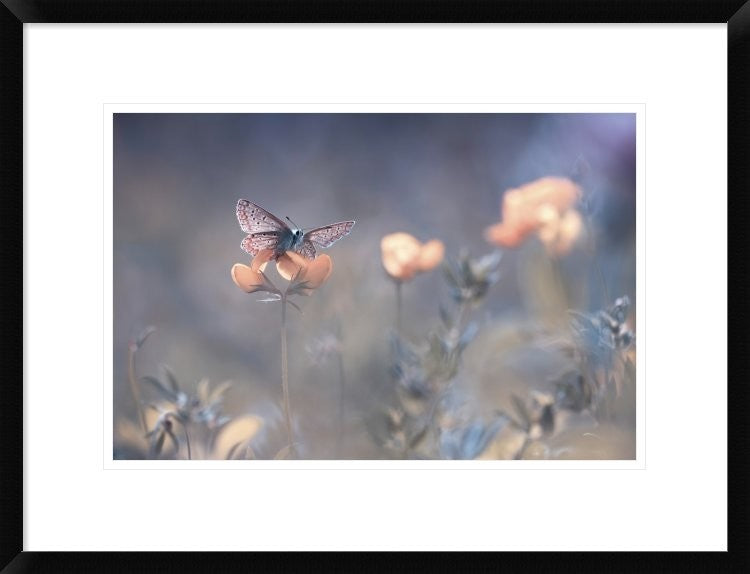 "The Lady Of Lothlorien" Framed Digital Print by Fabien Bravin, 26"x20"