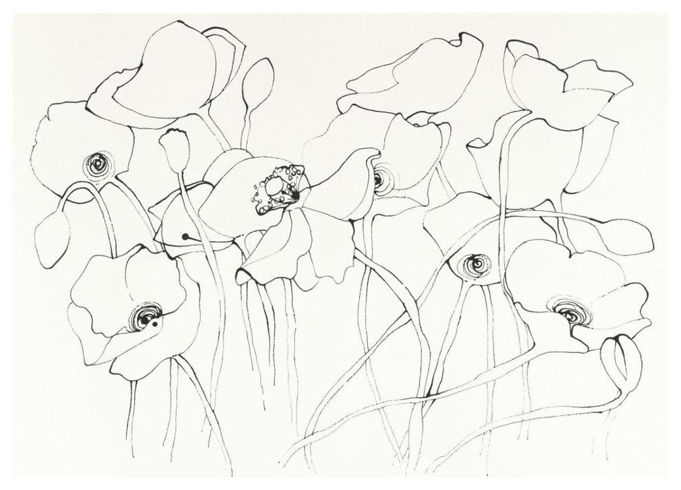 "Black Line Poppies III" Digital Paper Print by Shirley Novak, 34"x26"