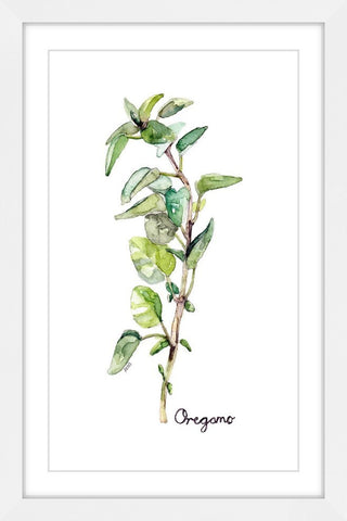 "Herb Oregano" Framed Print by Rachel Byler