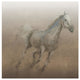 "Stallion I on Leather" Digital Paper Print by James Wiens, 20"x20"