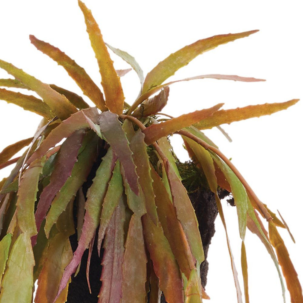 23in Trailing Mistletoe Cactus Succulent Artificial Plant Drop In Leaves Hanging