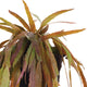 23in Trailing Mistletoe Cactus Succulent Artificial Plant Drop In Leaves Hanging