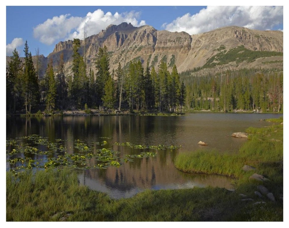 "Butterfly Lake, Uinta Range, Utah" Paper Print by Tim Fitzharris, 42"x32"